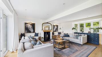 TV, fireplace, books