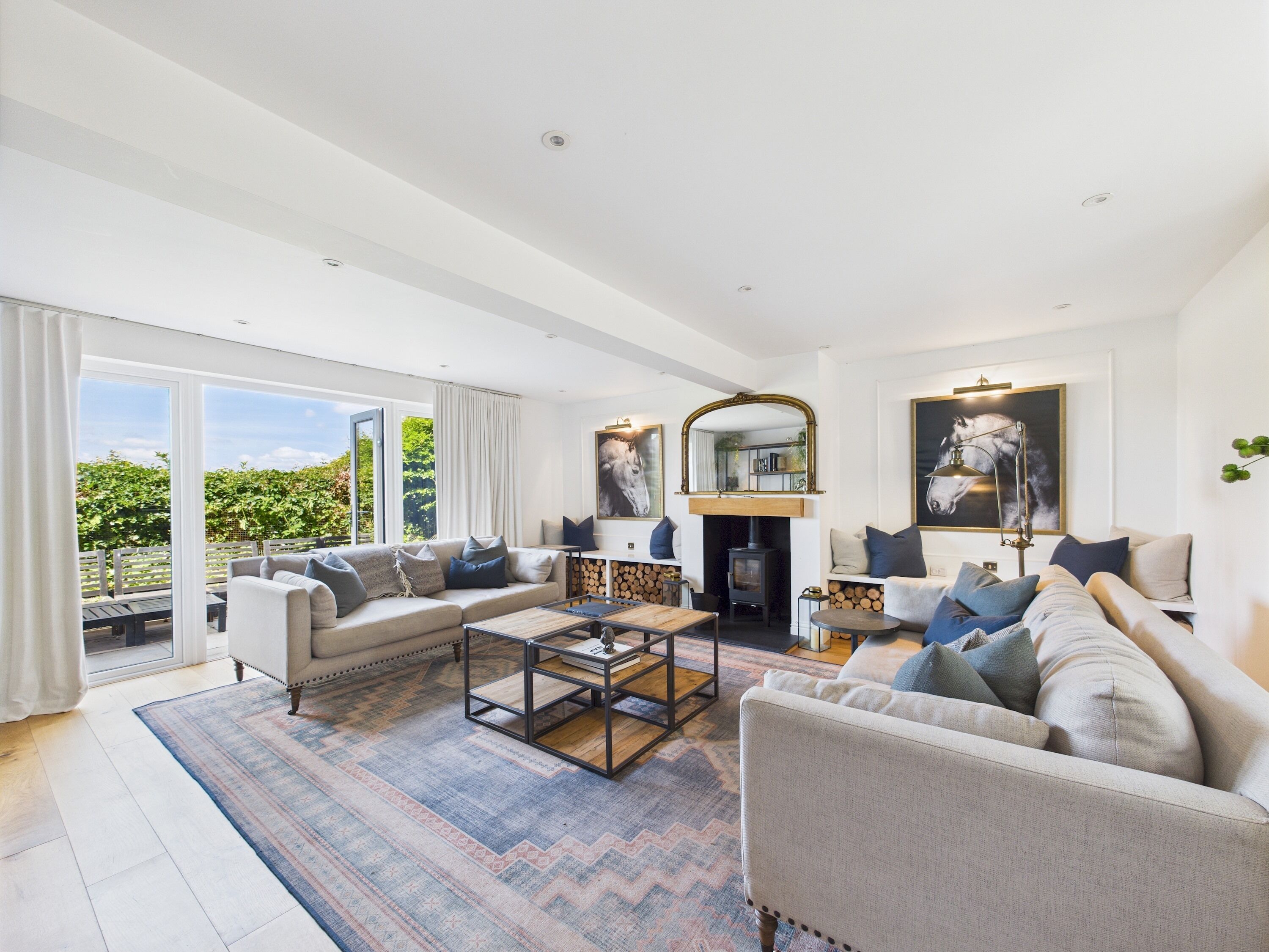TV, fireplace, books