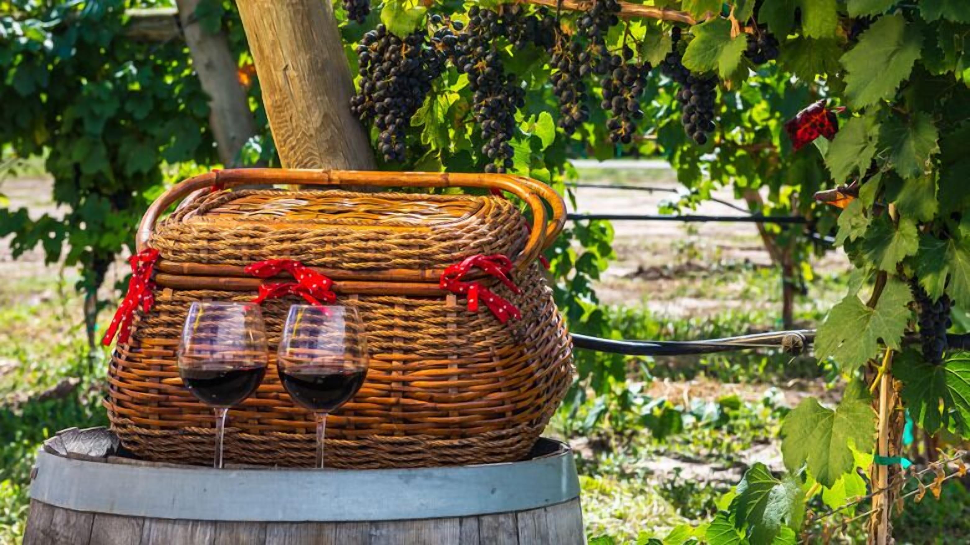 Un panier en osier contenant deux verres à vin remplis de vin rouge, posé sur une barrique en bois.