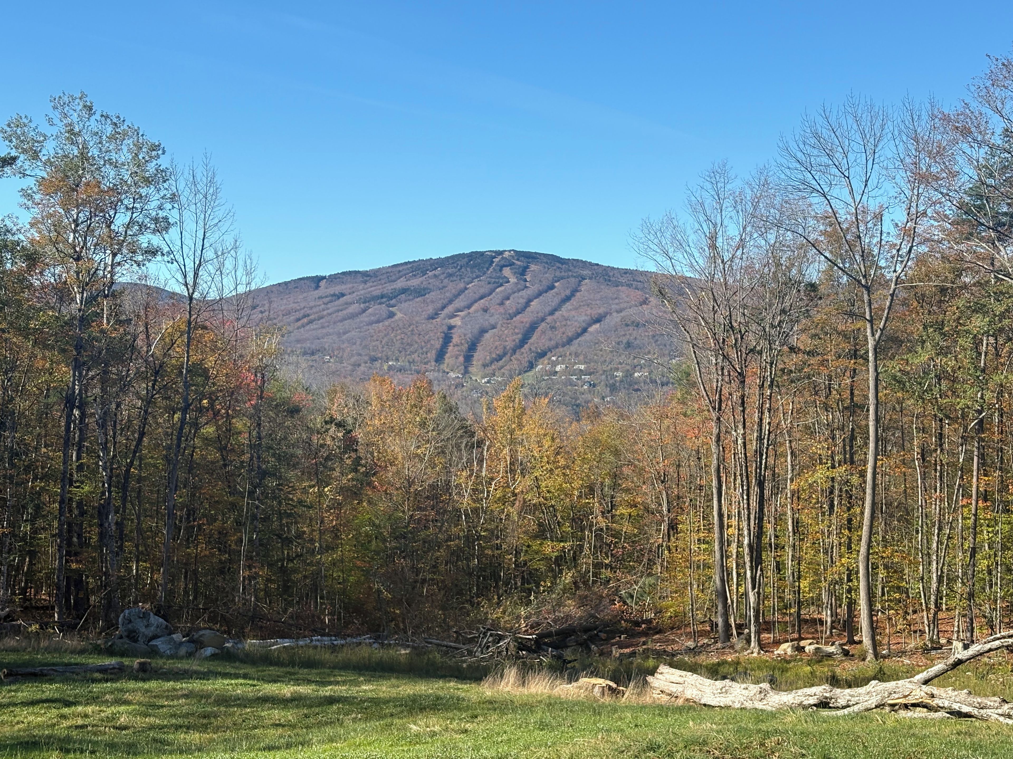 A mountainous landscape with a forested area in the foreground and a clear sky.