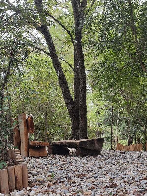 Property grounds - Romantic Cabin in the Forest (Canoas)