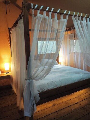 Romantic Cabin in the Forest