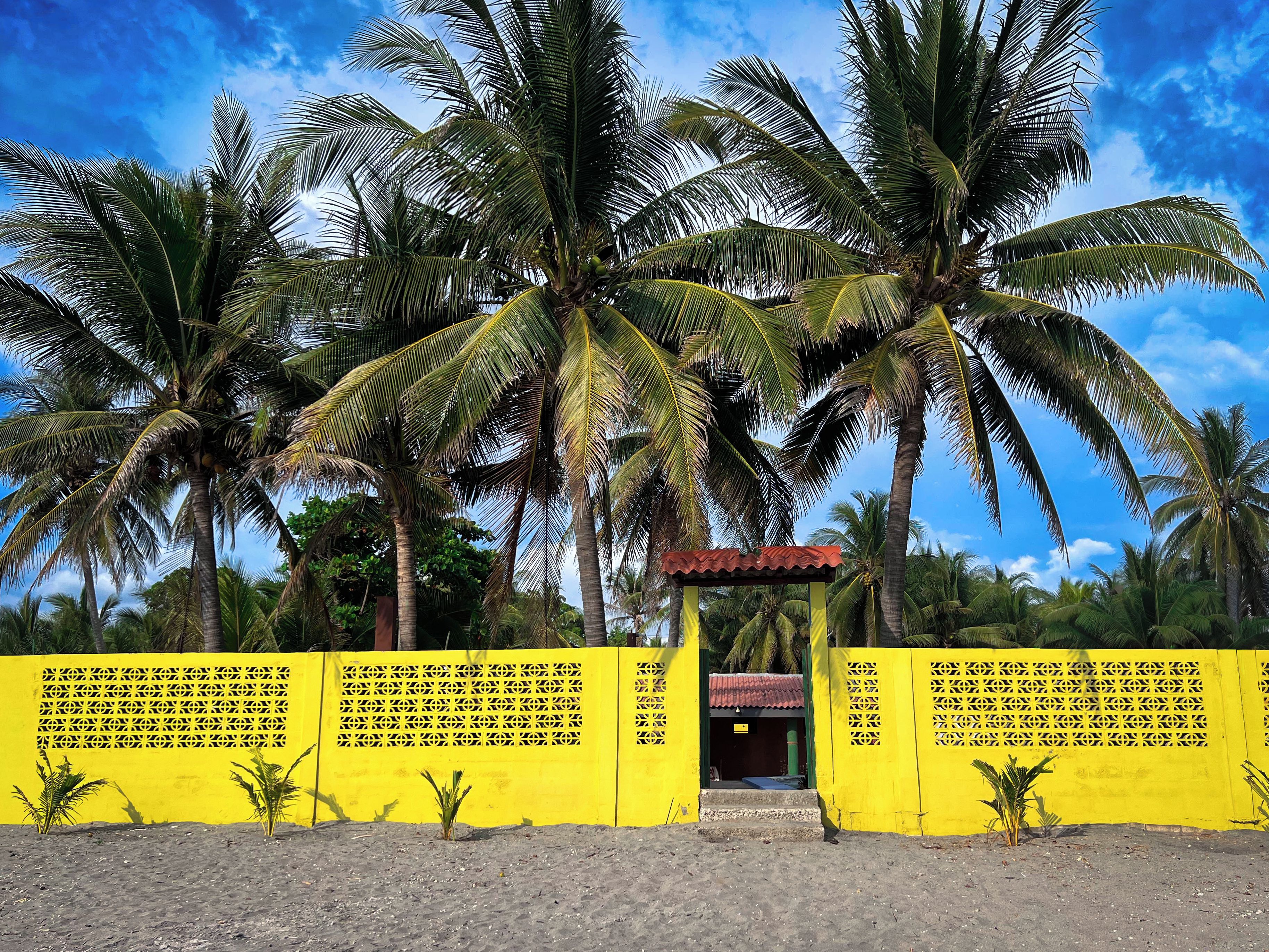 Um portão amarelo com uma pequena construção em frente, cercado por palmeiras e um céu claro.