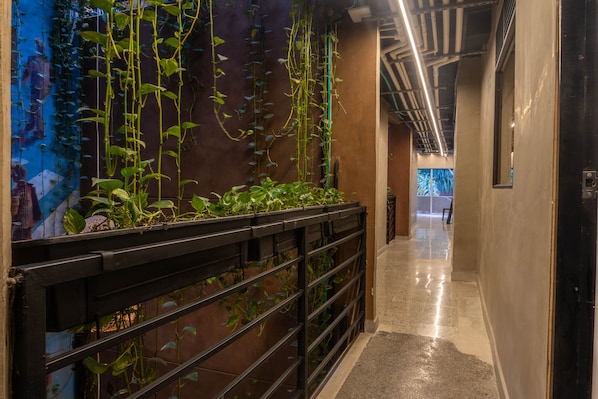 Coffres-forts dans les chambres, Wi-Fi gratuit