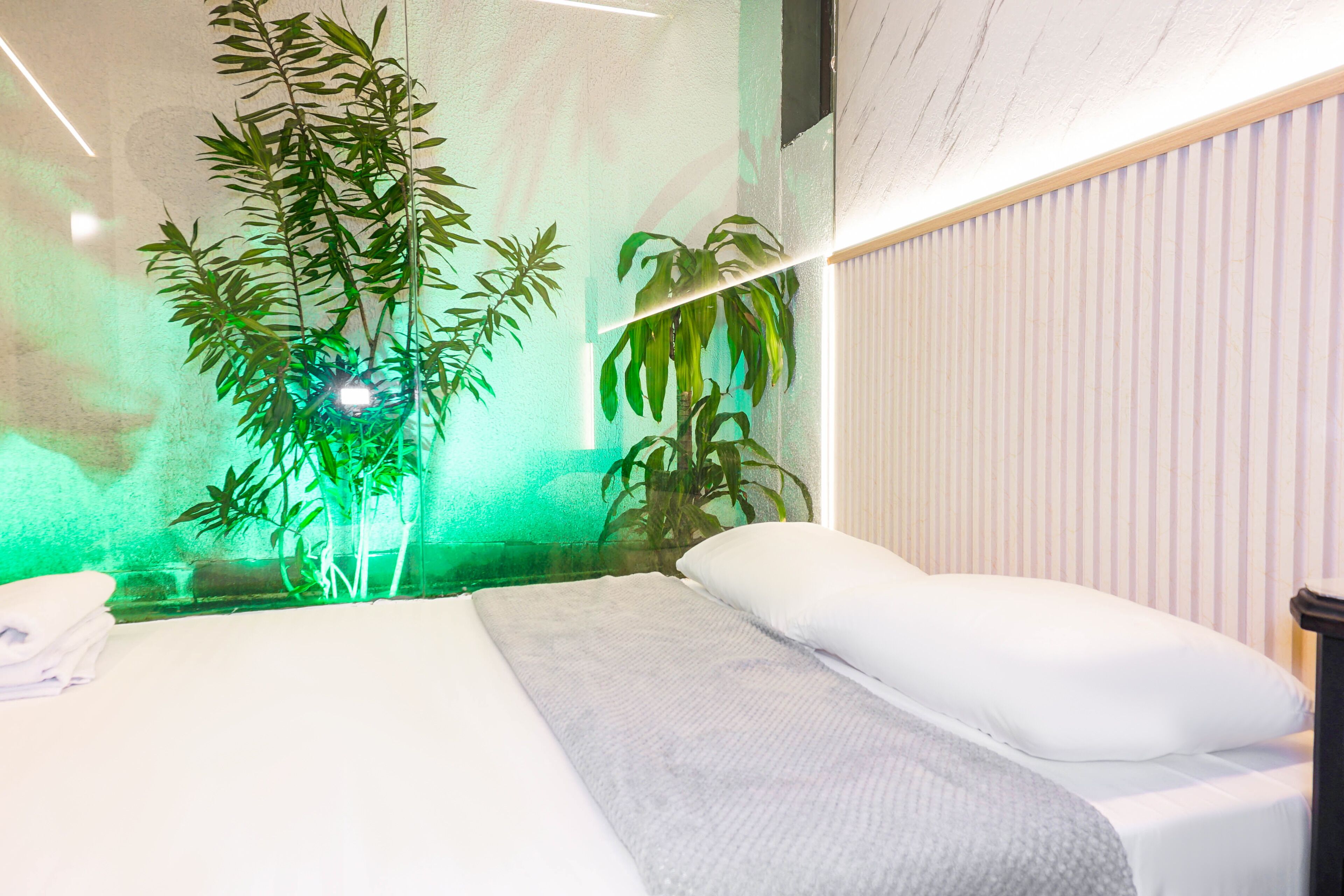 A modern hotel room with a bed, a large potted plant, and a wall-mounted light fixture.