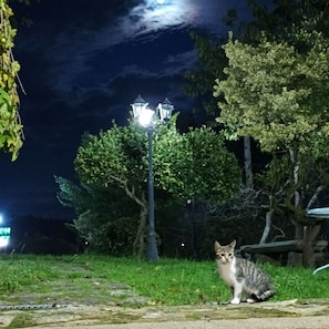 Exterior - Hotel Vila As Pedras (Roxos)