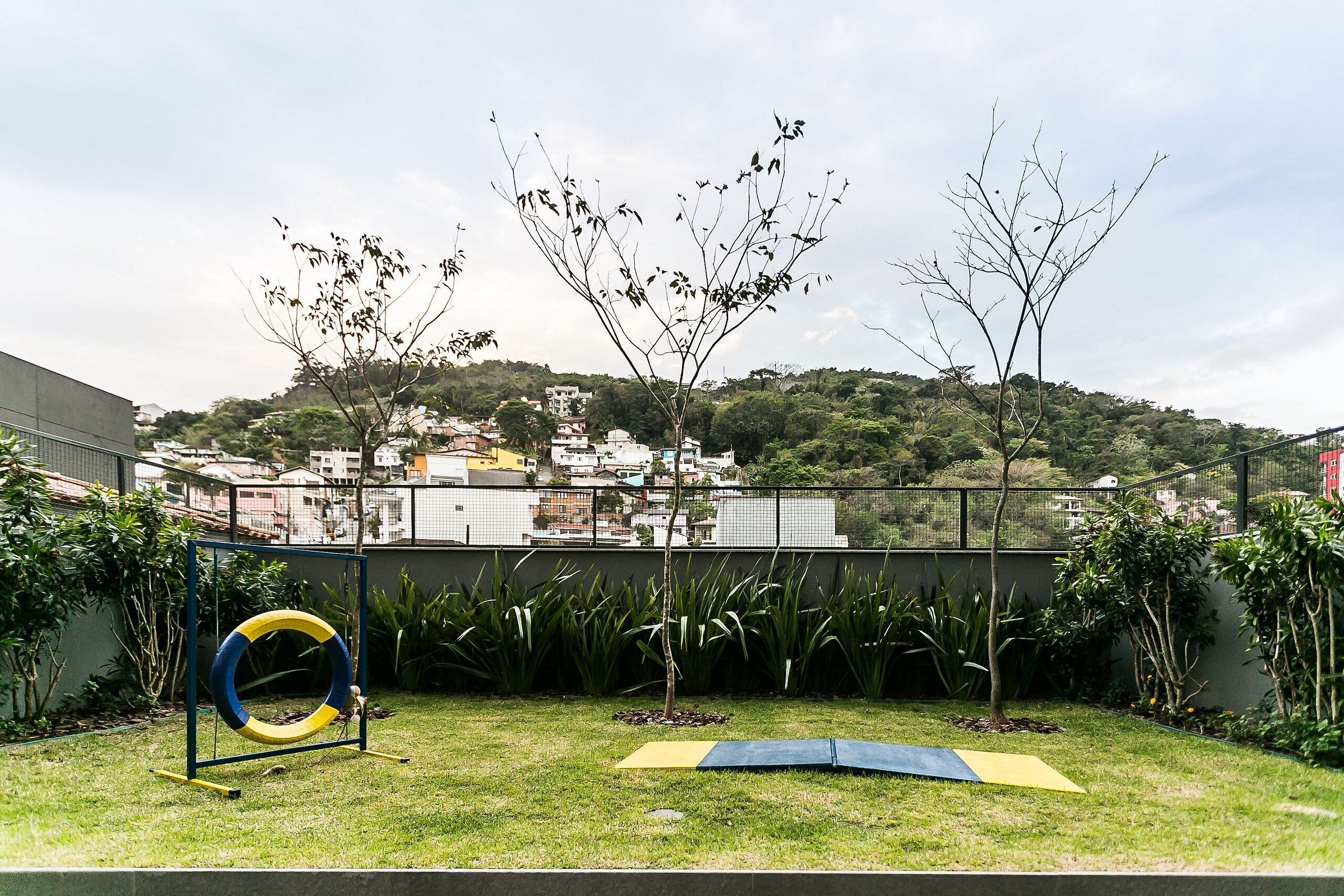 Un patio trasero con césped, un trampolín, un disco de ejercicios amarillo y azul, y un pequeño árbol.