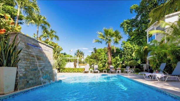 Une piscine avec des chaises longues et des palmiers.