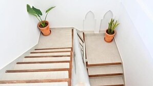 A staircase with wooden steps and white walls. There are two potted plants on the steps.