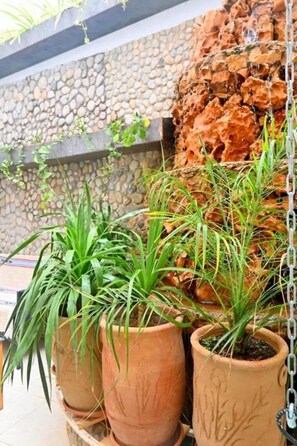 Property grounds - Standard Double Room #1 (Tamraght Ouzdar)