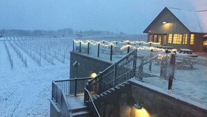 En snötäckt vingård med en trappa som leder upp till en byggnad med ett sluttande tak.