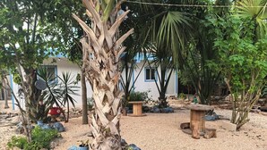 Um jardim com palmeira, pedras e uma mesa de madeira.