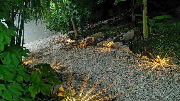 Um caminho no jardim com iluminação decorativa e plantas.