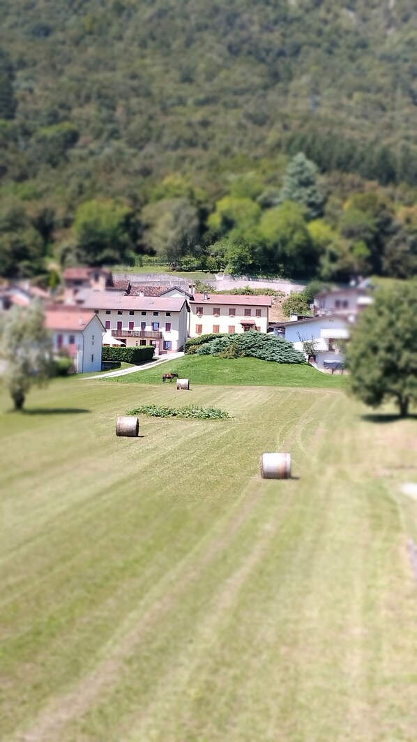 Áreas de la propiedad