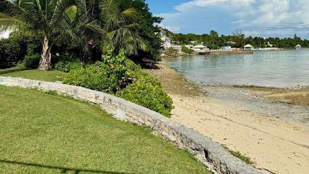 A beachfront property with a well-maintained lawn, a palm tree, and a view of the ocean. - Villa Tequila - 6 bedrooms beach house (Nassau)