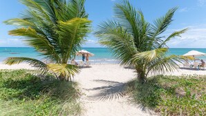 Ein Strand mit Palmen, einem Sandweg und Strandstühlen.