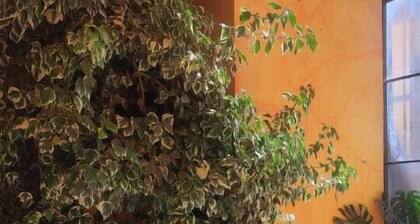 Hotel Perla del Lago