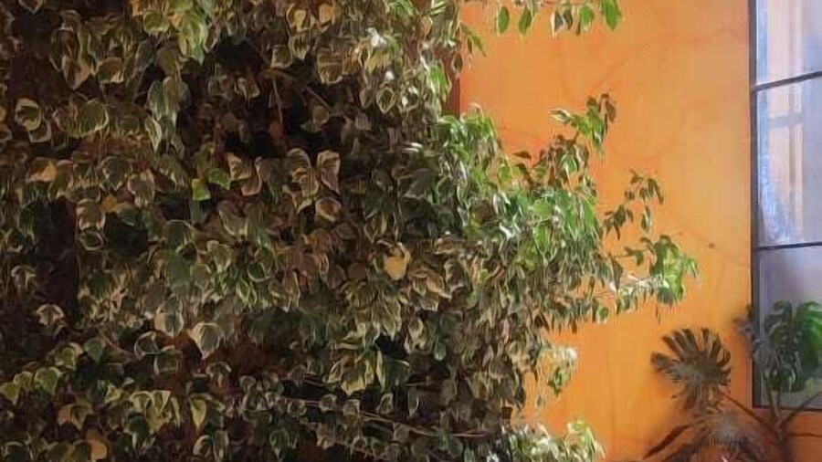 Hotel Perla del Lago