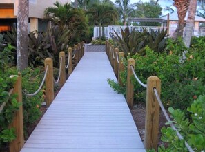 Property grounds - South Seas Island Resort, Plantation Beach Club, located on Sunset Beach (Captiva)