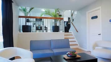 TV connectée, cheminée, livres