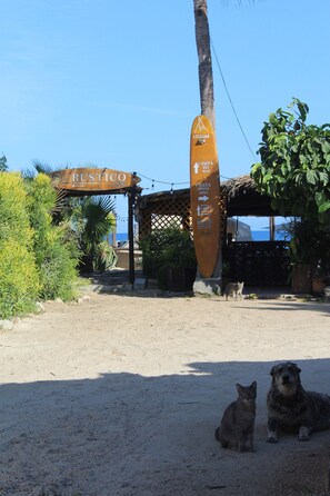 Property grounds - TIPI WITH A/C IN FRONT OF BEAUTIFUL BEACH_ Wake up with the sunrise and the waves! (San José del Cabo)