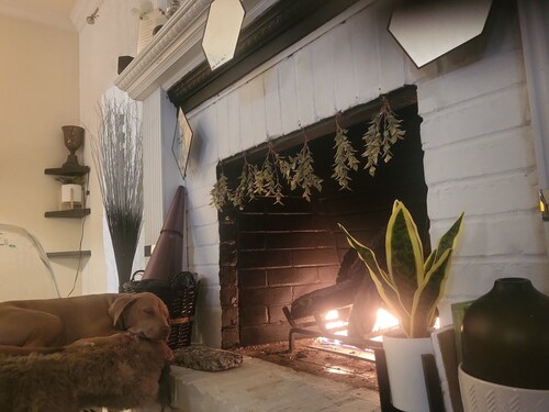 Pet-friendly 3-bedroom Home in Gated Community with Southern Charm and Hominess
