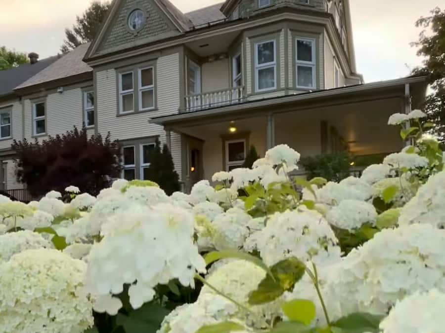 Detall de l'exterior