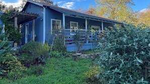 Ett blått hus med en inglasad veranda, omgivet av olika växter och träd.