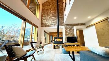 TV, fireplace, books