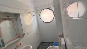 Shower, hair dryer, bidet, towels