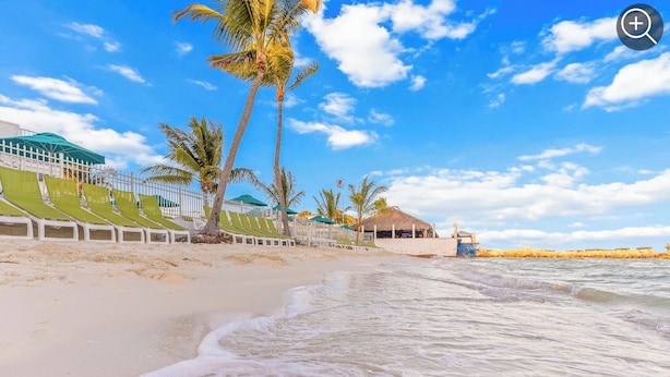 Ein Strand mit Reihen grüner Liegestühle, Palmen und einem Gebäude mit einem Strohdach.