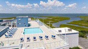 Pool - Ocean City Bayside Gem: 3BR Sleeps 8 w/ Rooftop Pool & Beach Steps Away! (Ocean City)