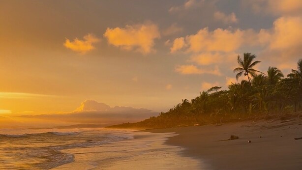 Una spiaggia con mare calmo, palme e un tramonto.