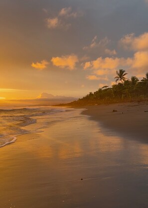Une plage avec une mer calme, des palmiers et un coucher de soleil.