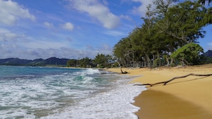 Ein Strand mit klarem, blauem Wasser, sandigem Ufer und Bäumen.
