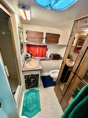 Bathroom - So Mushroom Silver Streak Travel Trailer (Seneca)