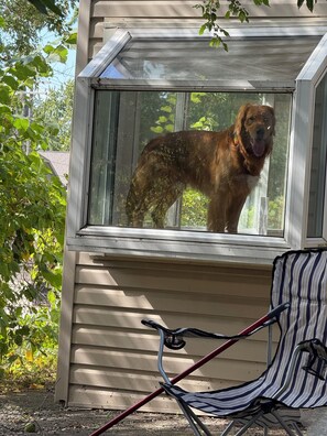 Property grounds - Perfect 2-bedroom house with lake views and sunsets. Short walk to Driftwood Pub (Walled Lake)