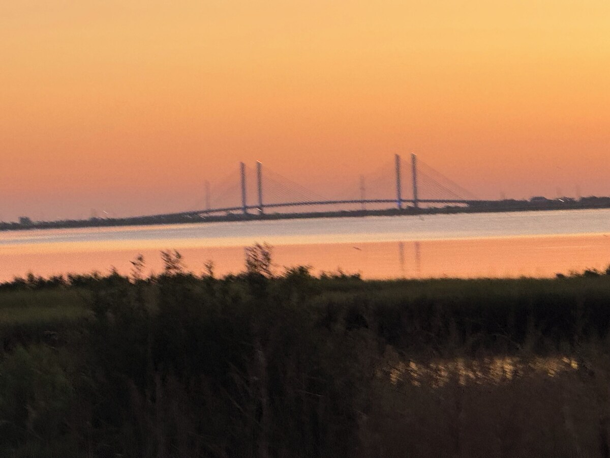 Imagen de perfil del propietario o de la propietaria