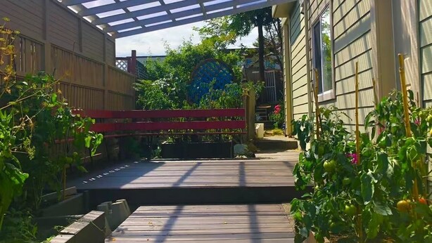 A covered outdoor area with a wooden deck, a red bench, and a garden with tomato plants. - Enjoyable 2-bedroom house in lovely Saanich Core neighborhood (Saanich Core)