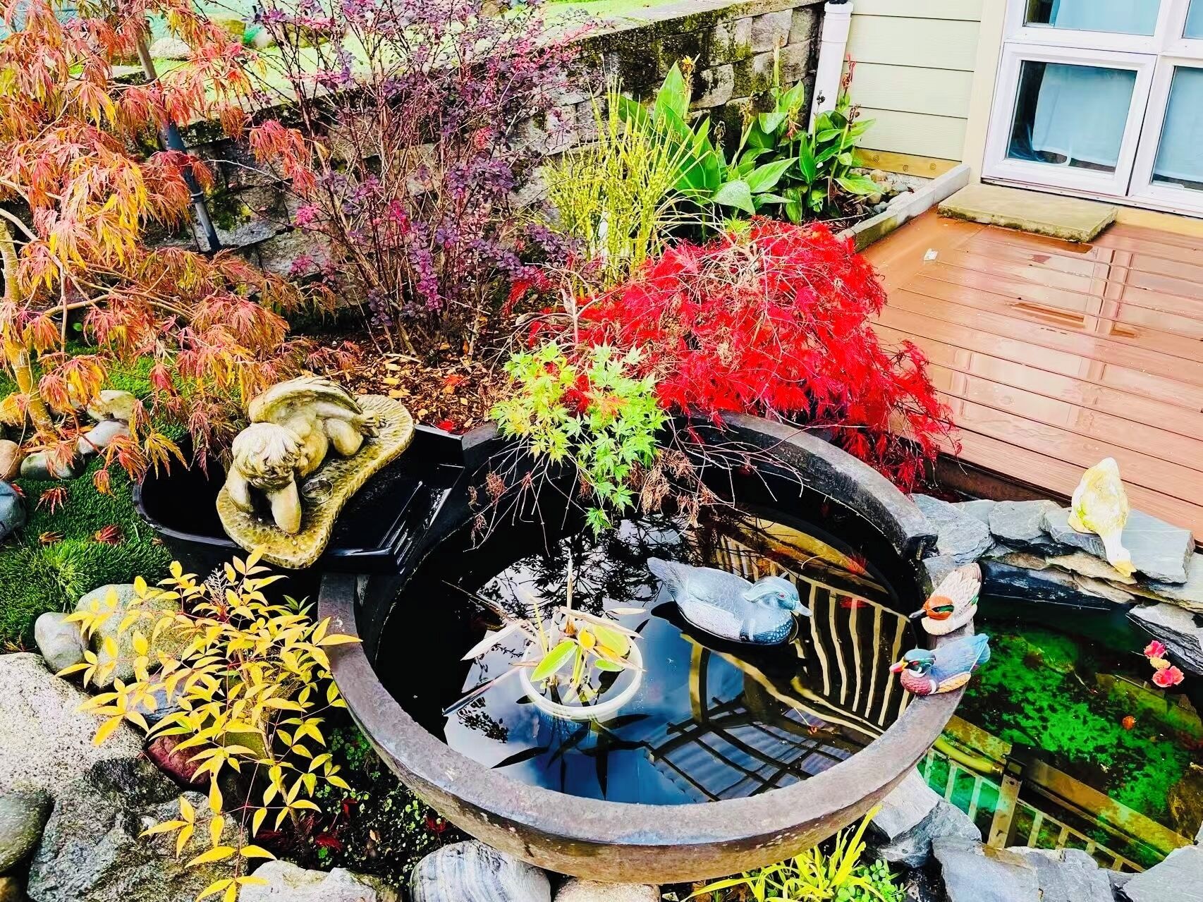 Jardines del alojamiento