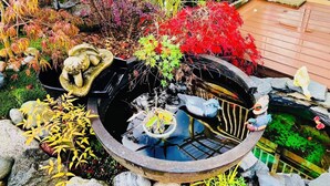 A garden with a koi pond, various plants, and a stone structure. - Enjoyable 2-bedroom house in lovely Saanich Core neighborhood (Saanich Core)
