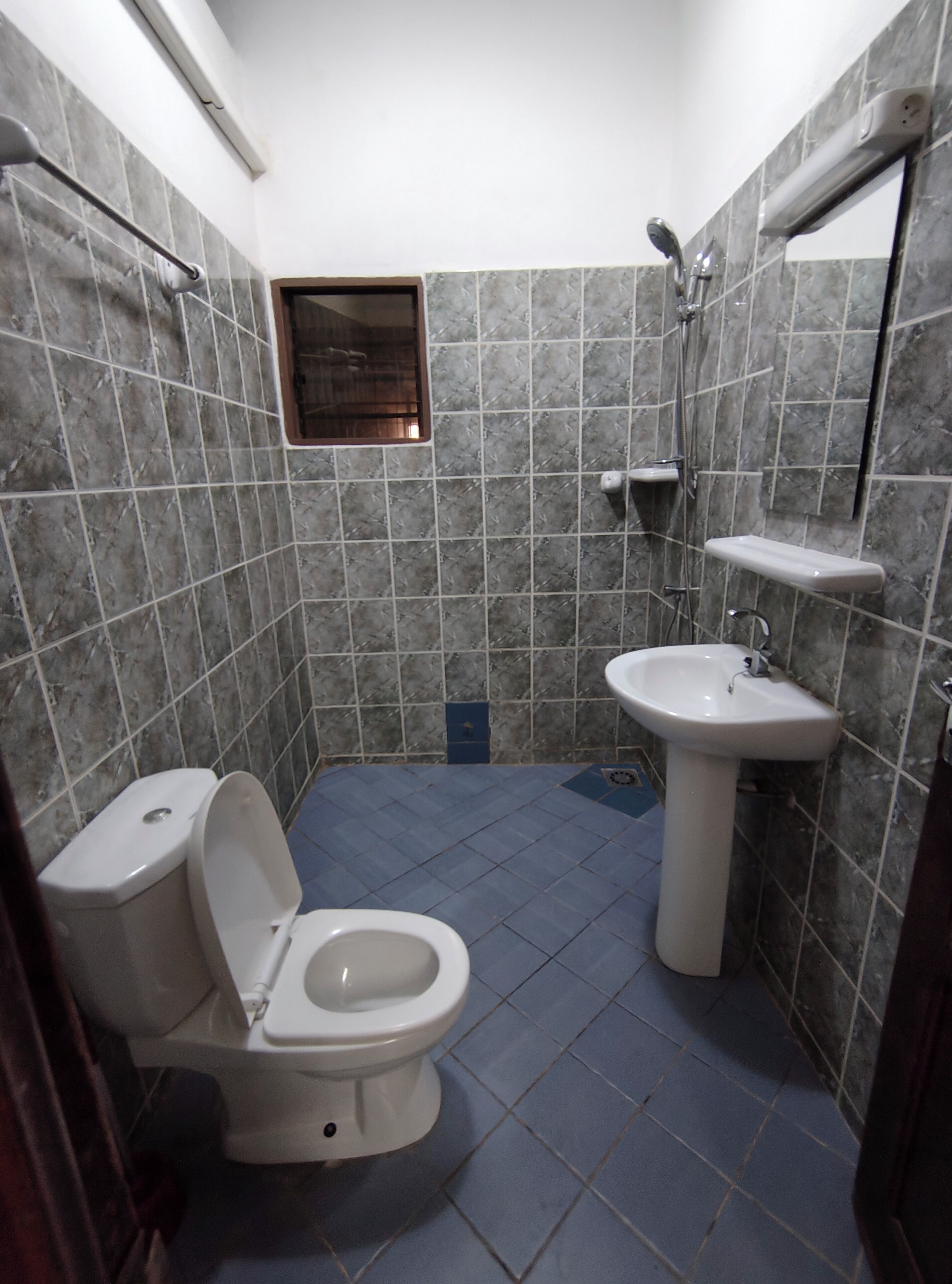 Une petite salle de bain avec des toilettes, un lavabo et une douche.