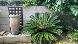 外观细节