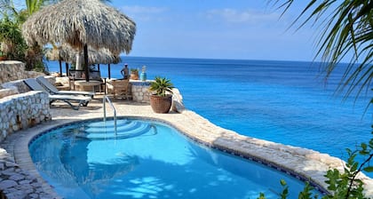 Turtle Nest #5 cozy 1 bedroom. Steps to beach, pool and scuba diving.