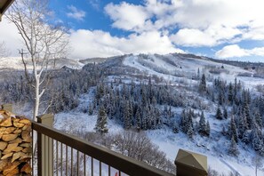 Property grounds - Mountain Views | Close to Slopes | Hot Tubs (steamboat springs)