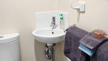Shower, towels, toilet paper