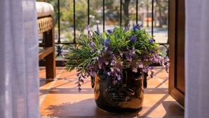 A balcony with a potted plant, a chair, and a wrought iron railing. - Hotel boutique Casa Gopar (Ocotlán de Morelos)