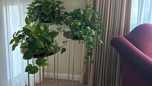 A room with a framed peacock artwork on the wall, a purple chair, and two gold-framed plant stands with green plants. - Bobbi's on the Hill (Waynesville)