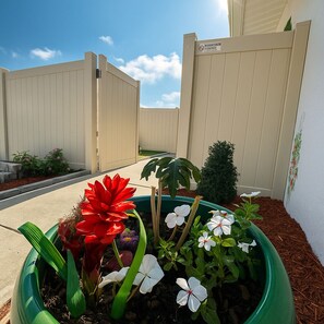 Property grounds - KM Apartment (Port Richey)