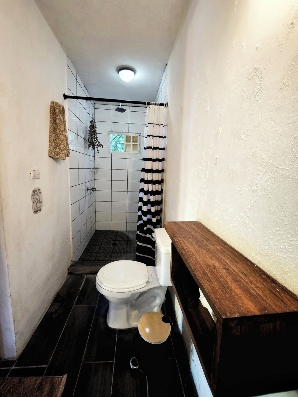 Shower, towels, toilet paper